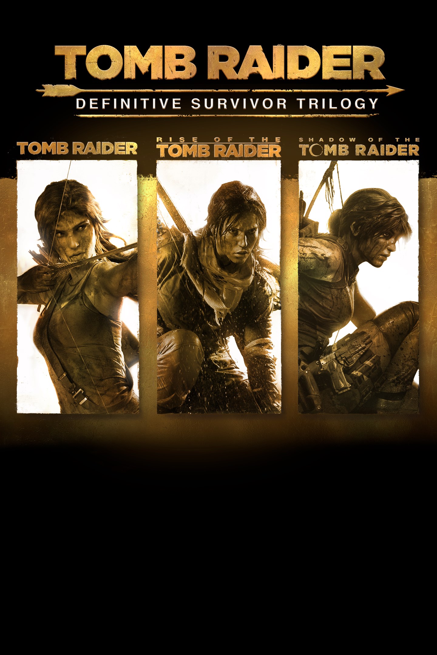 Tomb raider trilogy game cover